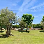 Olivos De Mirobriga Ciudad-Rodrigo