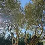 Willa Olivos De Mirobriga
