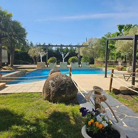 Olivos De Mirobriga * Ciudad-Rodrigo