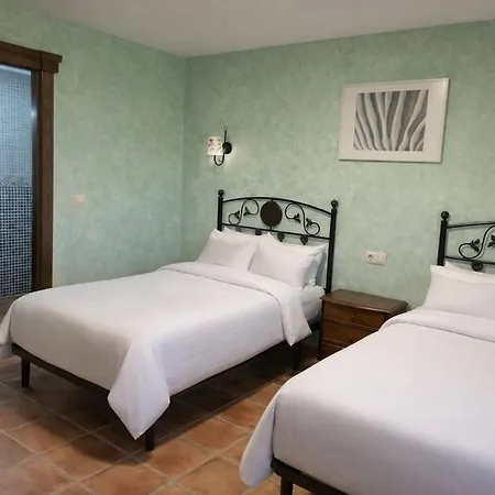 Olivos De Mirobriga Ciudad-Rodrigo