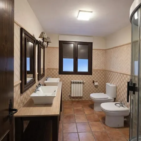 Olivos De Miróbriga *