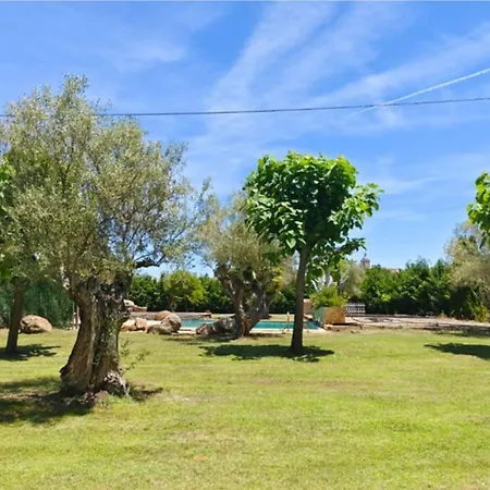 Olivos De Mirobriga Ciudad-Rodrigo