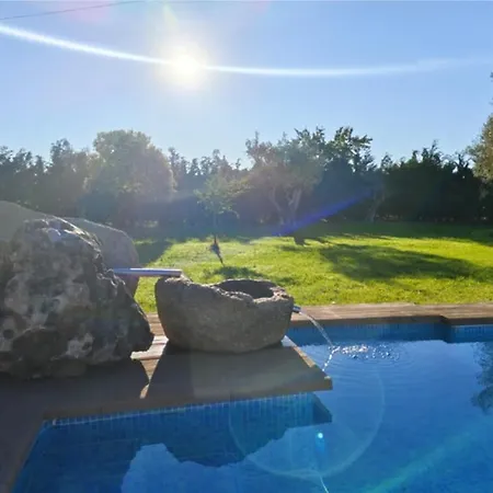 Olivos De Miróbriga Villa