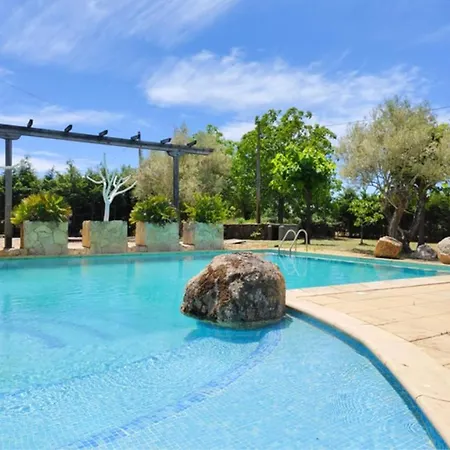 Olivos De Miróbriga