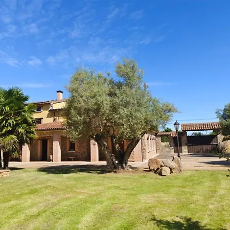 Villa Olivos De Miróbriga *