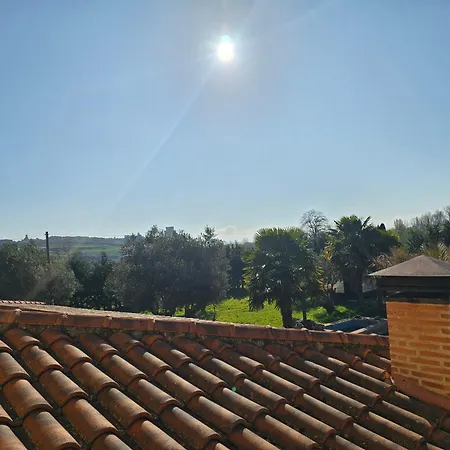 Villa Olivos De Mirobriga