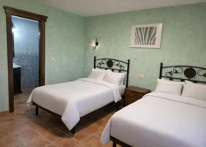 Olivos De Mirobriga Ciudad-Rodrigo