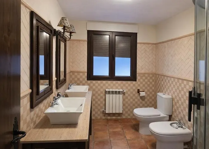 Olivos De Miróbriga *