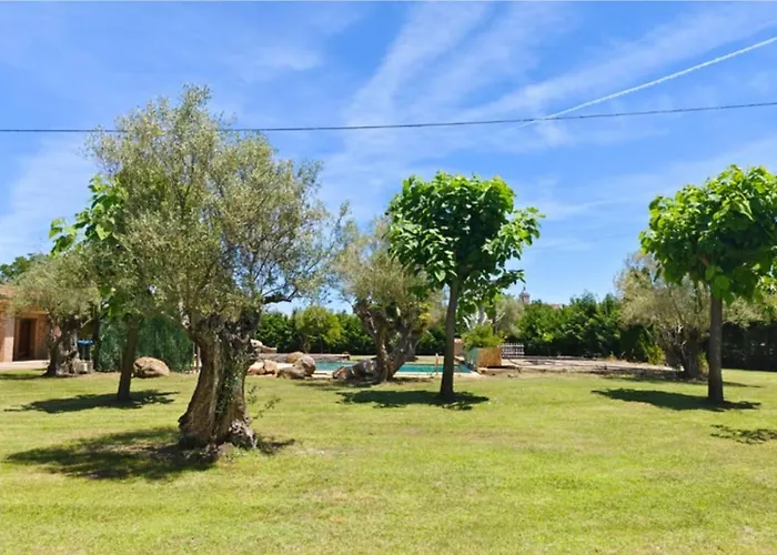 Olivos De Mirobriga Ciudad-Rodrigo