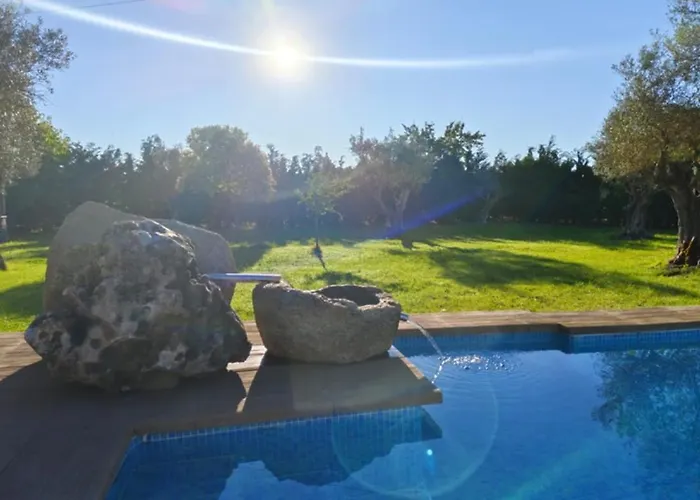 Olivos De Miróbriga Villa