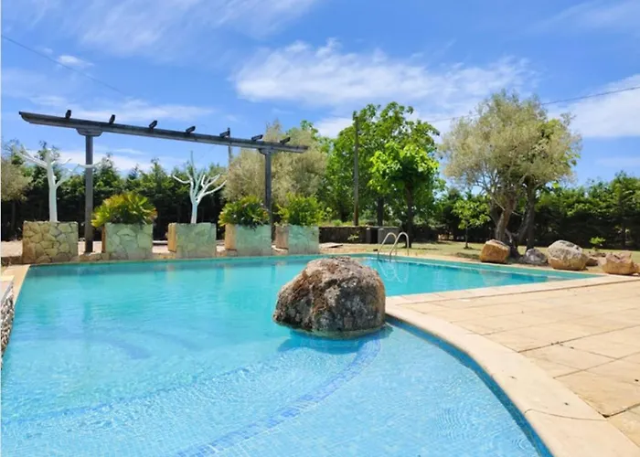 Olivos De Miróbriga